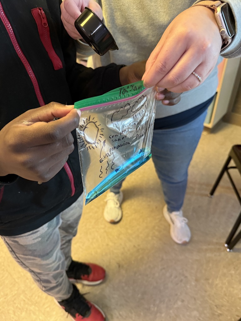 Water cycle in science class