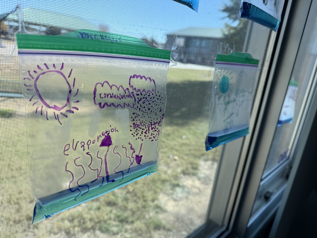 Water cycle in science class