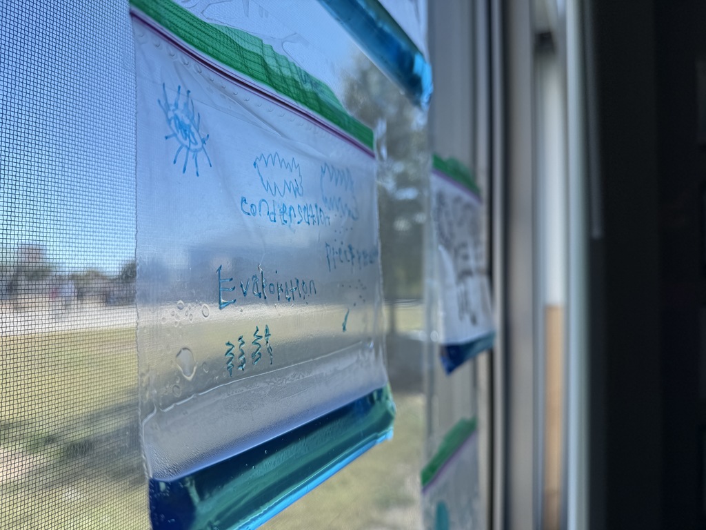 Water cycle in science class