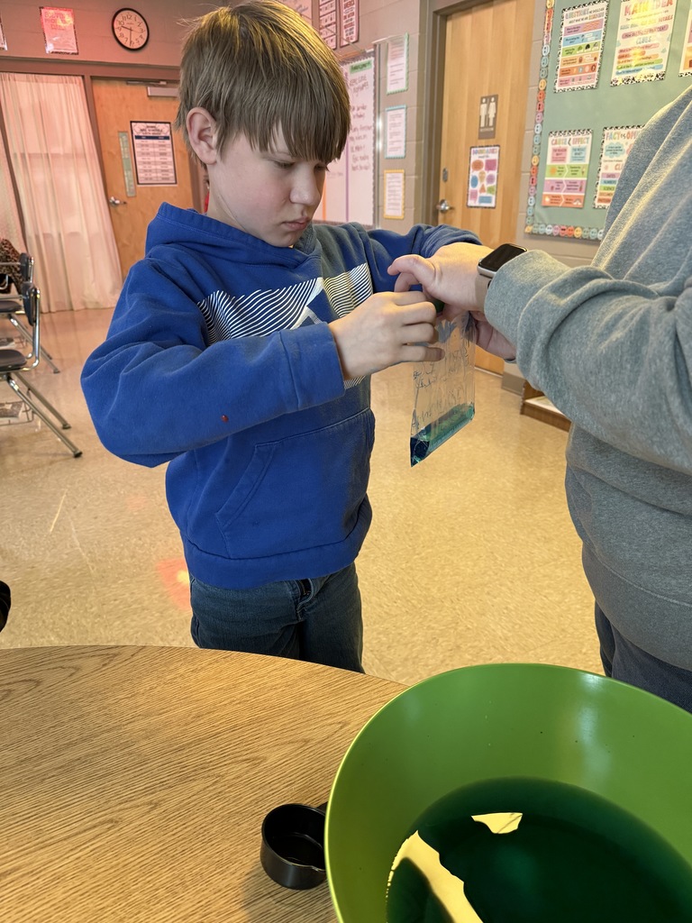 Water cycle in science class