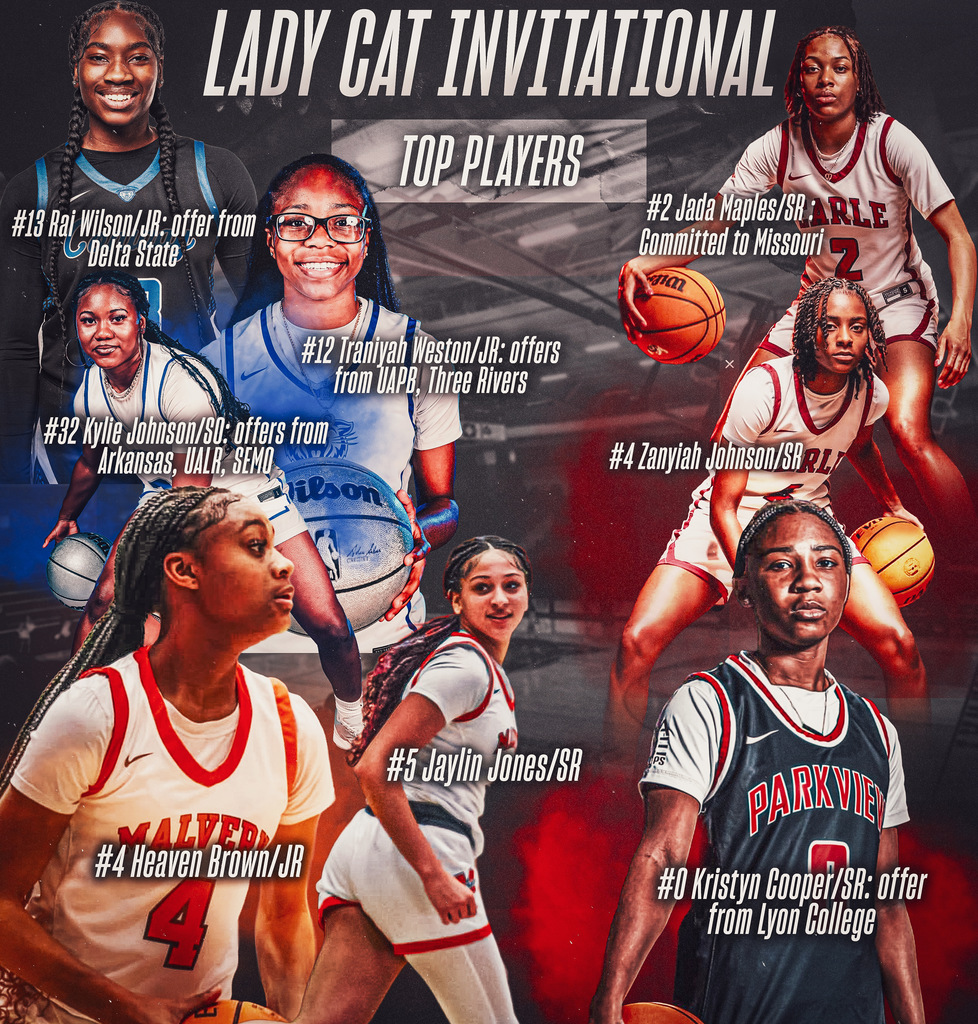 lady cat invitataional2