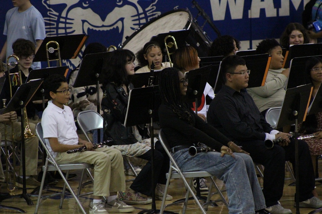 CMS Band