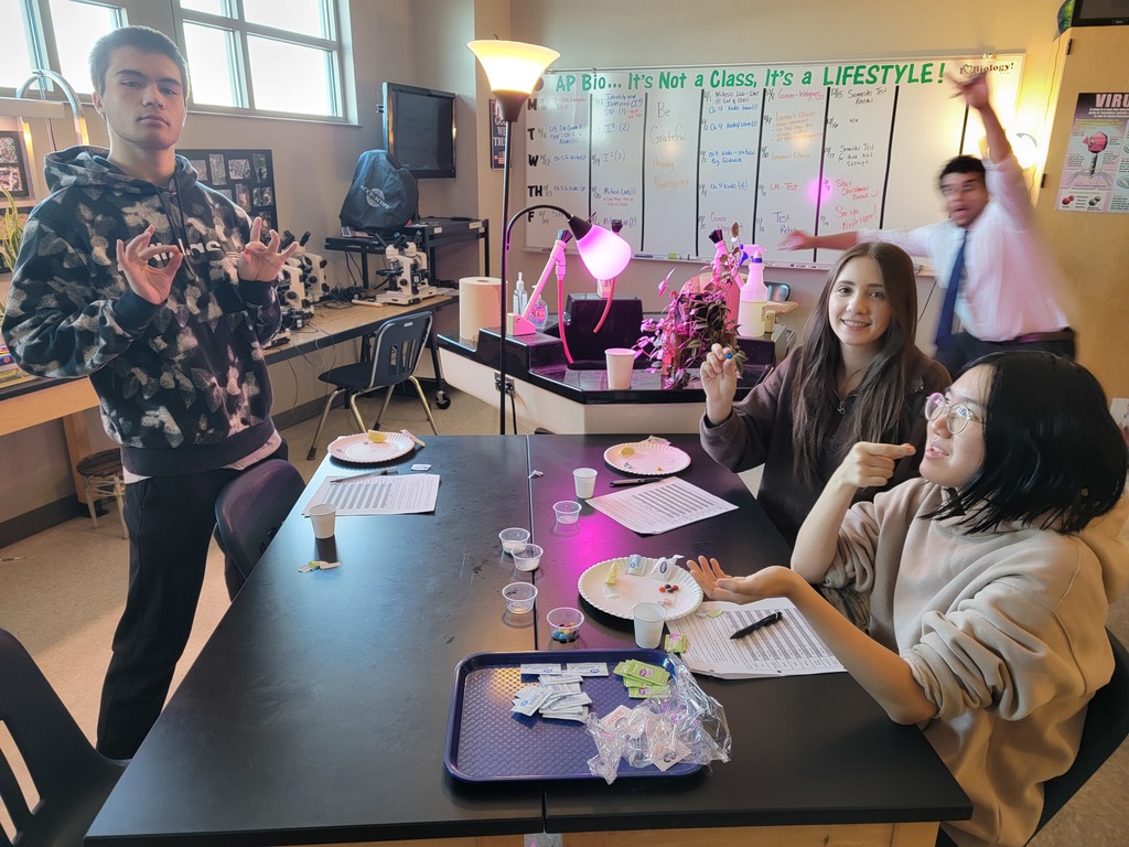 Our AP Biology students had a sweet time in lab on Friday—well… until the Gymnema tea kicked in! 😅🧪 As part of their Signal Transduction Pathways investigation, students sampled all the major flavors (sweet, sour, salty, bitter, and umami) before drinking Gymnema tea, which temporarily blocks the sweet receptors on your tongue. Mind. Blown. 🤯🍬 They also discovered that thanks to our unique DNA, we don’t all taste things with the same intensity! 👅🧬 Check out this snapshot from Friday’s flavorful (and slightly confusing!) experiment! #APBiology #ScienceIsCool #CHSScience