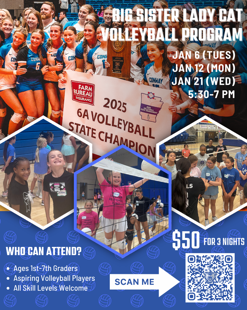 Big Sister Program VB