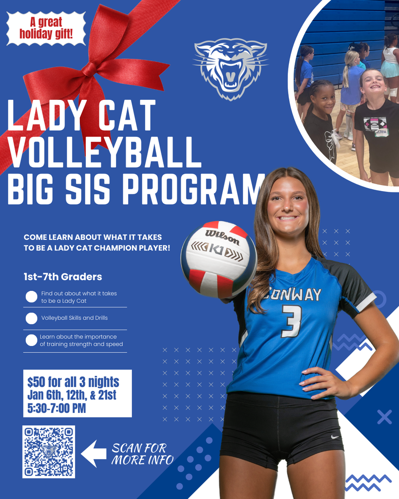 Lady Cat Big Sis Program
