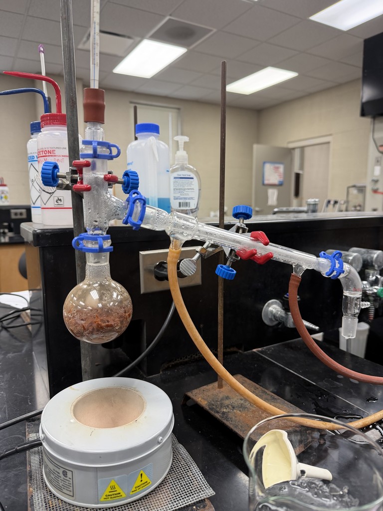 Our Organic Chemistry students had an exciting day at UCA. They completed a steam distillation of cinnamon to isolate cinnamaldehyde, and Dr. Singleton used IR and NMR spectroscopy to help determine their results. In the afternoon, ACS performed several demonstrations, including carbon-dioxide bubble making.