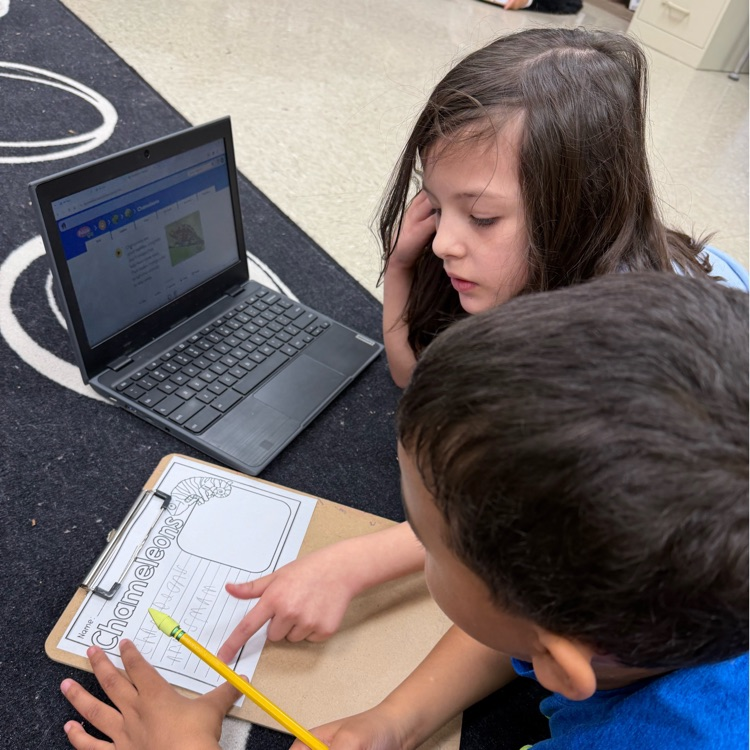 first grade research 