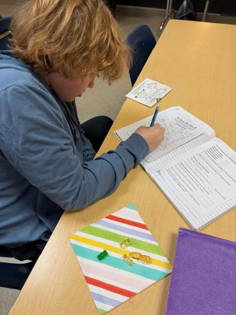 Using gummy bears in math