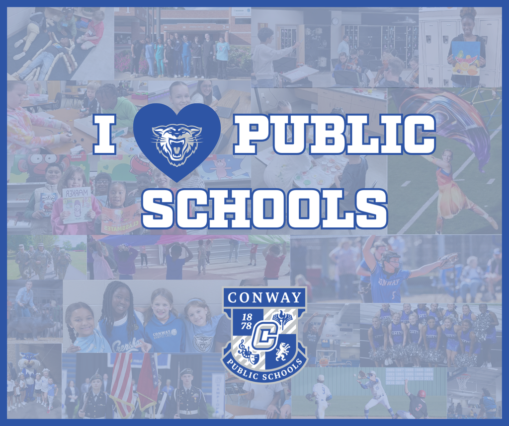 I love public schools graphic