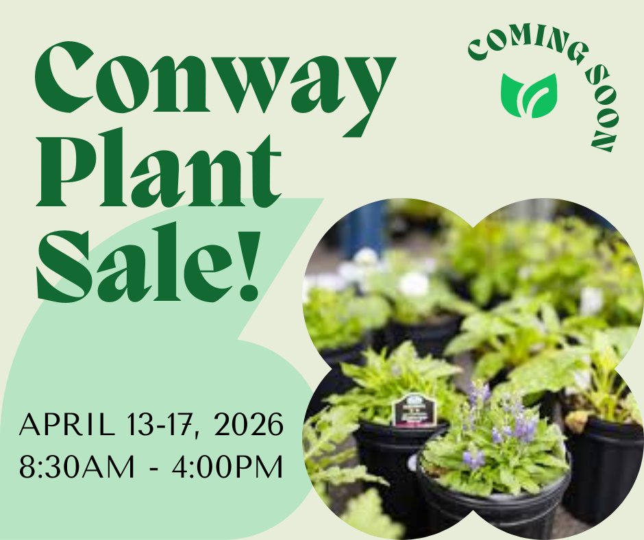 Conway Plant Sale coming soon! April 13 -17.