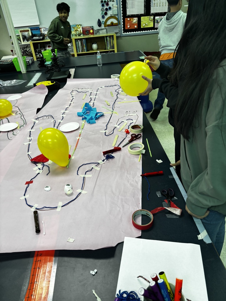 student created bodies from lessons about body systems