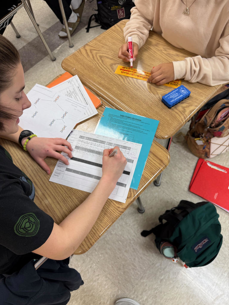 Ms. Branscum’s Advanced Biology classes used LEGO® proteins built from specific DNA sequences to model protein synthesis—the process cells use to make the proteins essential for life. Students also explored how DNA mutations can change proteins, resulting in effects that may be harmful, neutral, or even beneficial. Science in action!