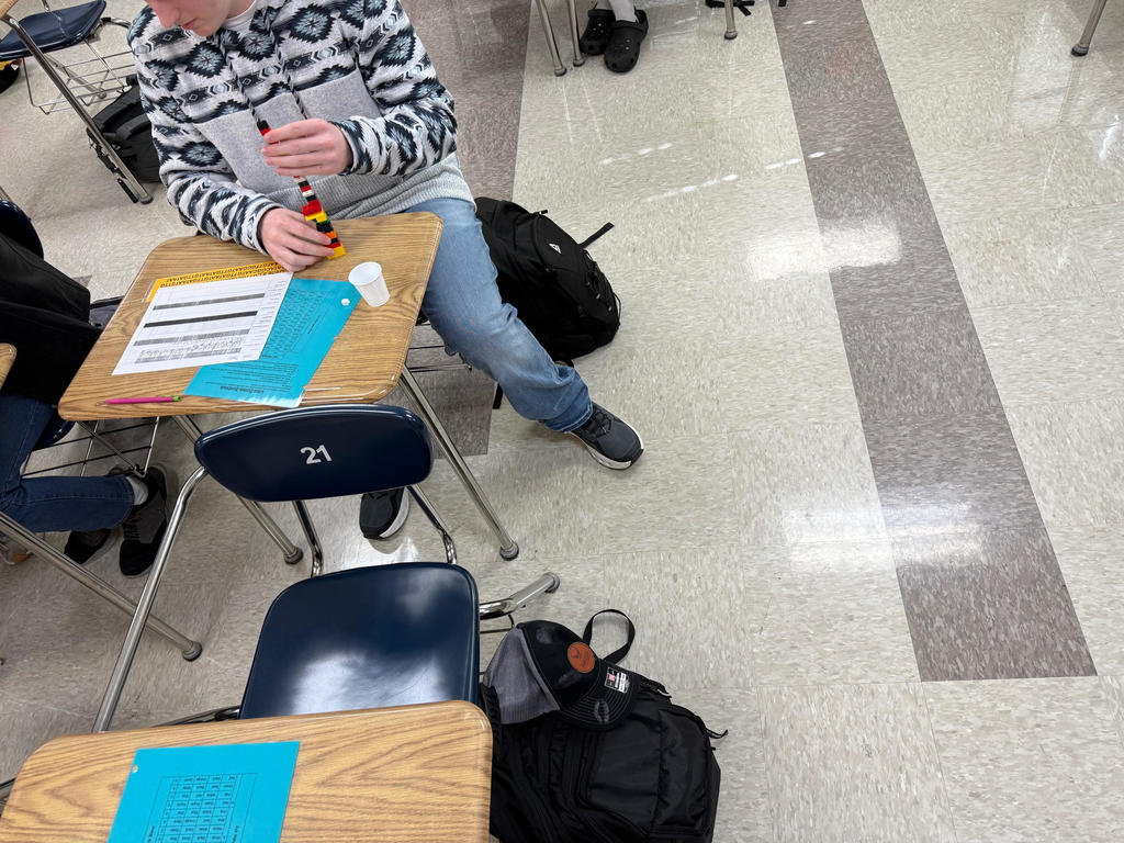 Ms. Branscum’s Advanced Biology classes used LEGO® proteins built from specific DNA sequences to model protein synthesis—the process cells use to make the proteins essential for life. Students also explored how DNA mutations can change proteins, resulting in effects that may be harmful, neutral, or even beneficial. Science in action!