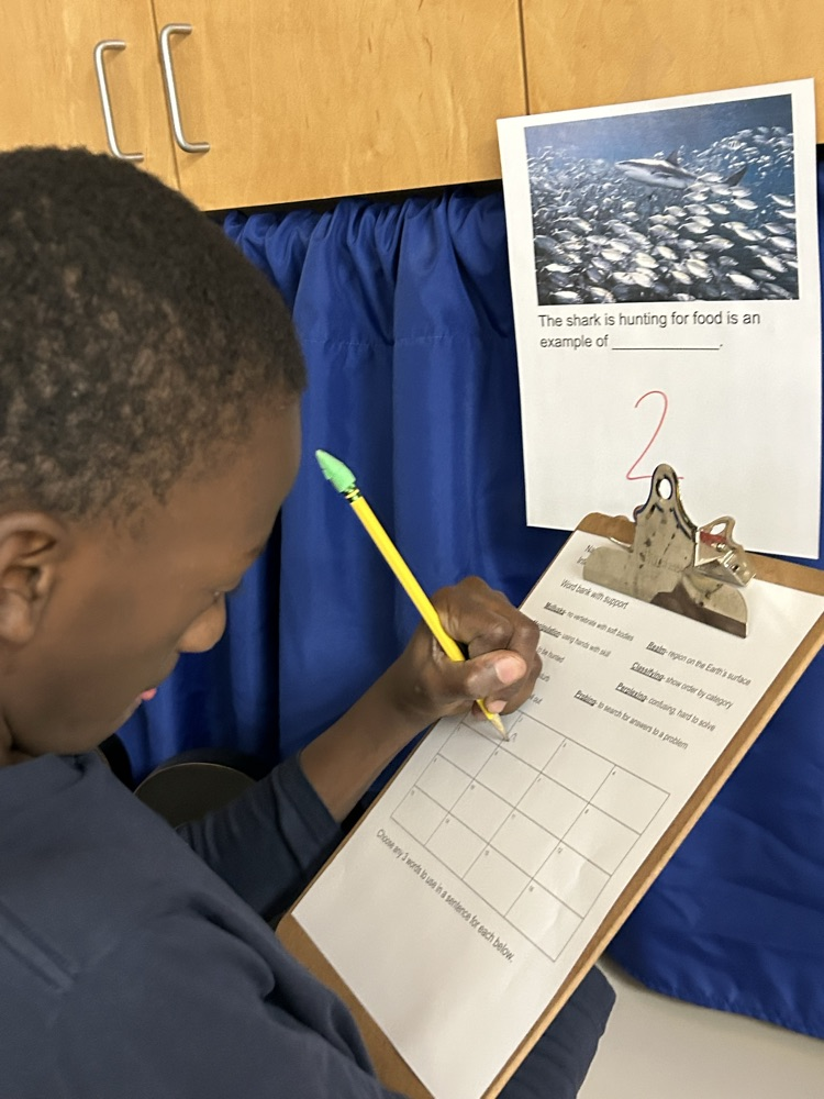 gallery walk in reading class