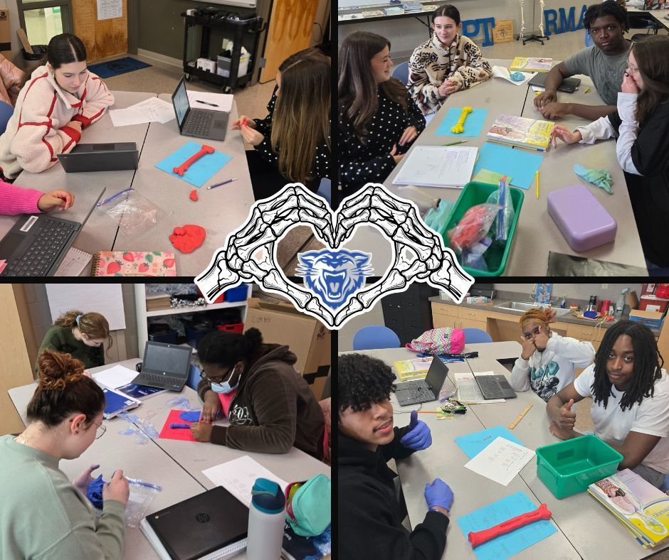 🦴📚 Learning by doing! Our Medical Terminology students brought anatomy to life by creating the bones of the human body with clay. Getting hands-on helps students see and understand how everything fits together—literally!  #HandsOnLearning #MedicalTerminology #WampusCats