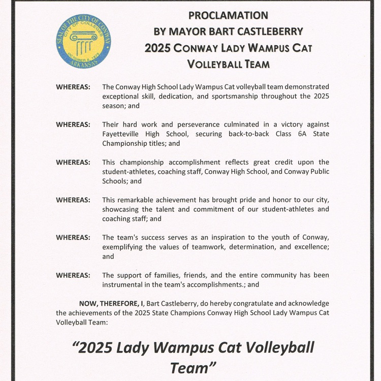 volleyball team at city council meeting 