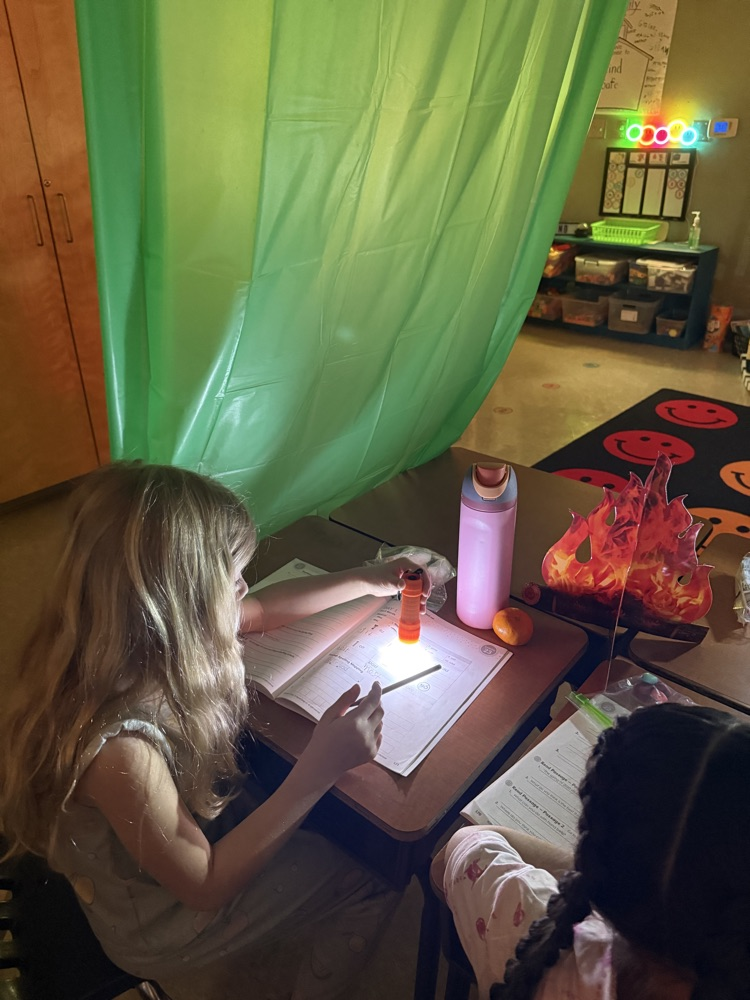 Mrs. Roberts class went camping and did some reading under the stars.  ✨ 