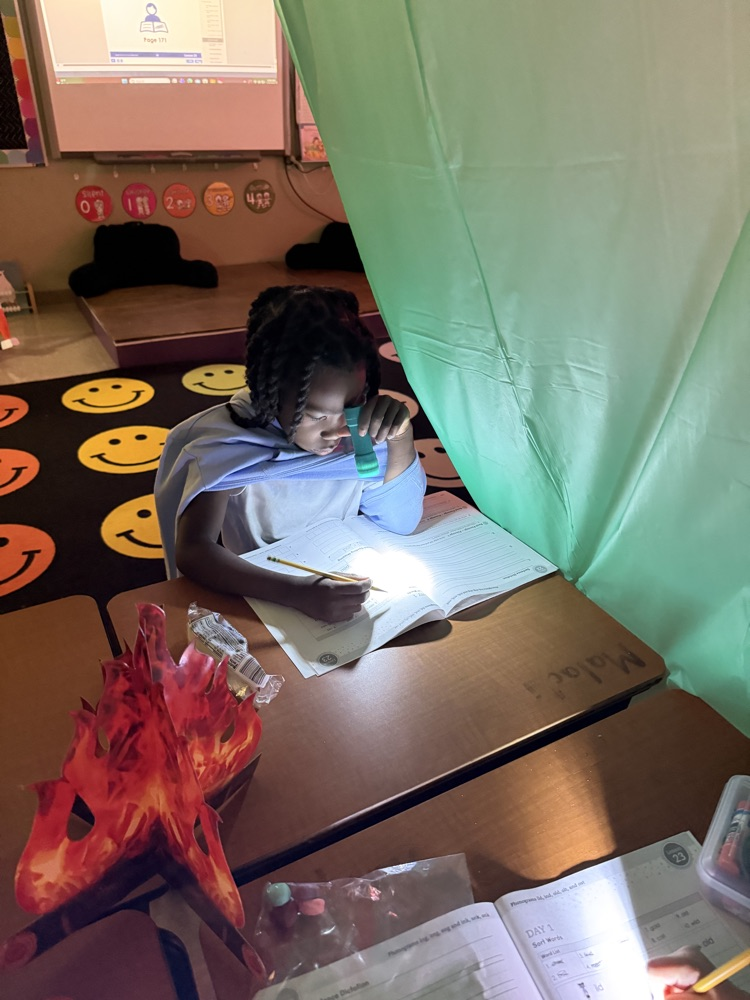 Mrs. Roberts class went camping and did some reading under the stars.  ✨ 