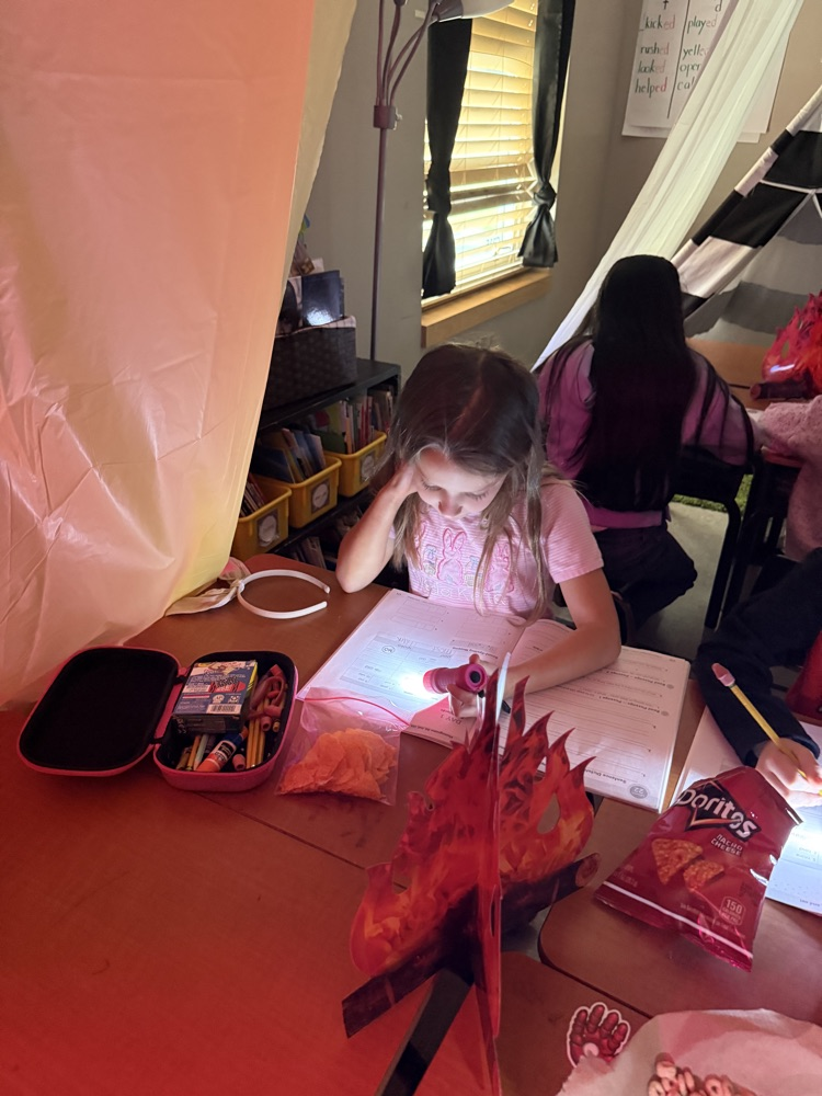 Mrs. Roberts class went camping and did some reading under the stars.  ✨ 