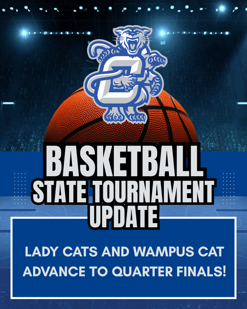 LADY CATS AND WAMPUS CATS ADVANCE TO QUARTER FINALS IN STATE TOURNAMENT