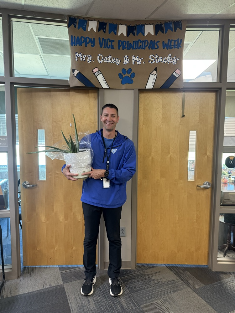 assistant principals 