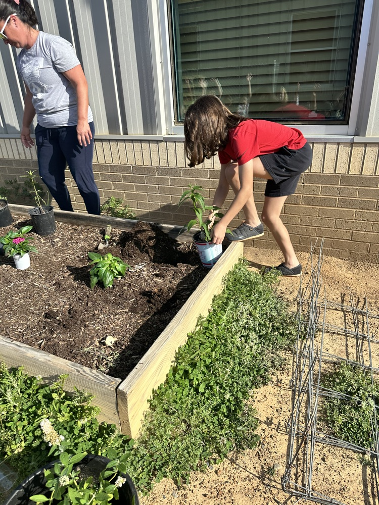 The Pollinator Playground is off to a great start!   Thank you for Mrs. Carmen Lindsey & Tara Brown for all of the help. 