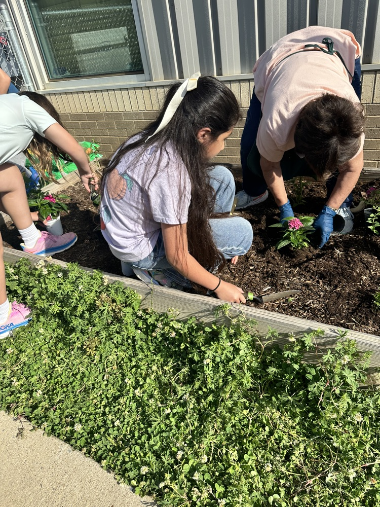 The Pollinator Playground is off to a great start!   Thank you for Mrs. Carmen Lindsey & Tara Brown for all of the help. 