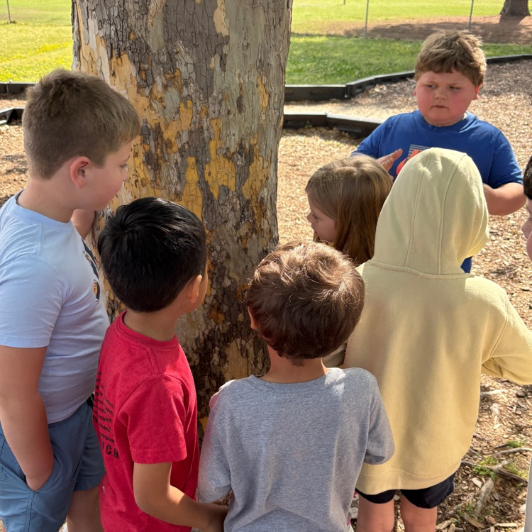 kids discovering moth on tree