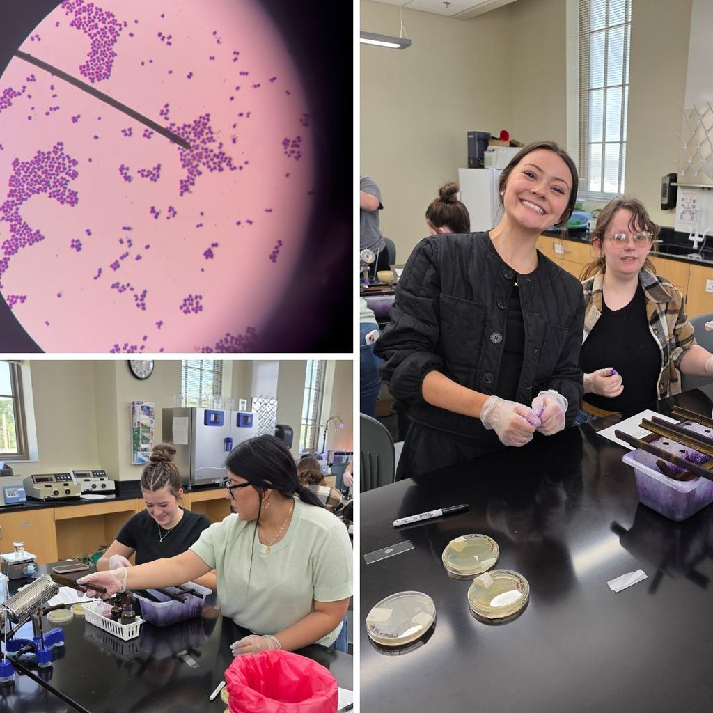 Students in lab.  Image of slide under microscope.  