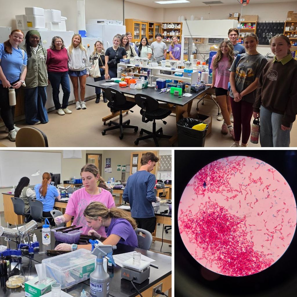 Students in lab. Image of slide under microscope.