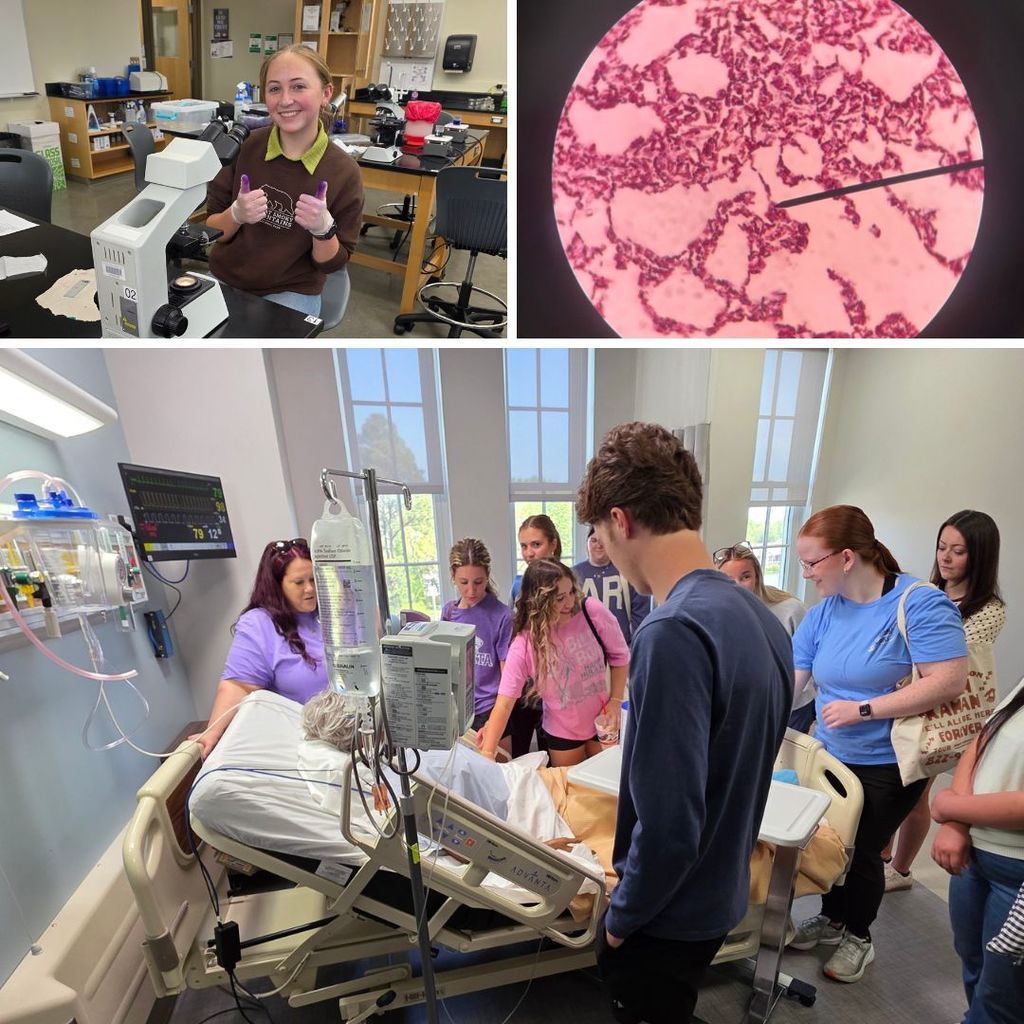 Students in lab.  Image of slide under microscope.