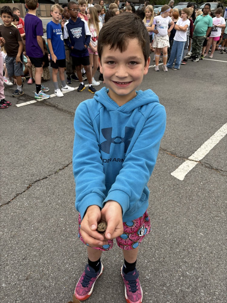 toad races