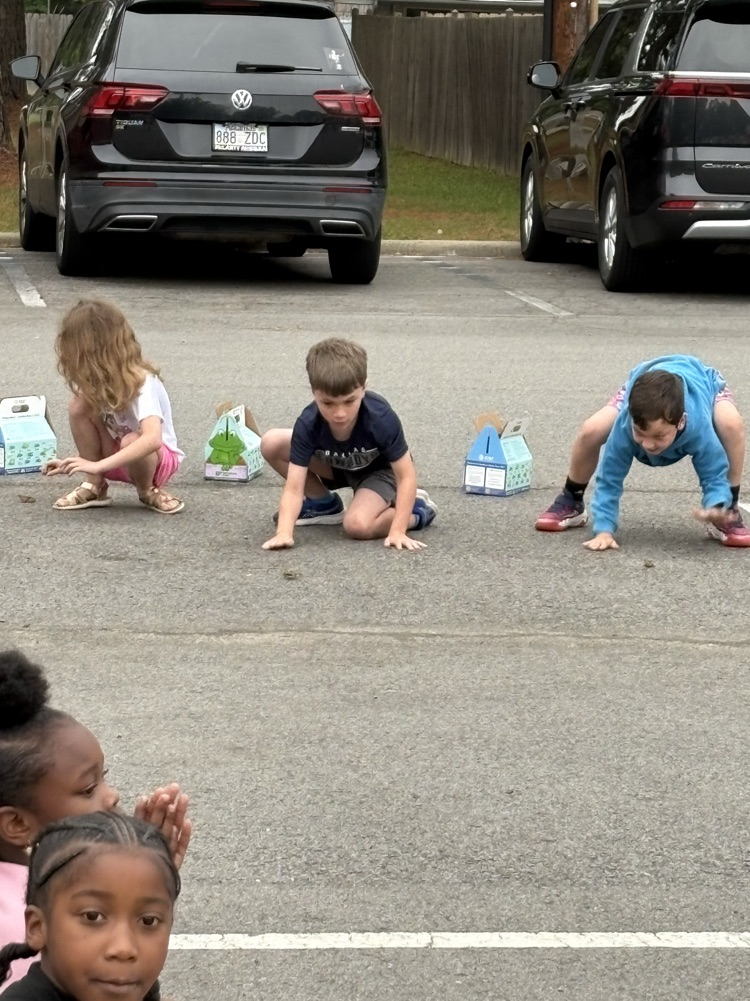 toad races