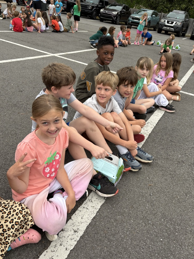 toad races