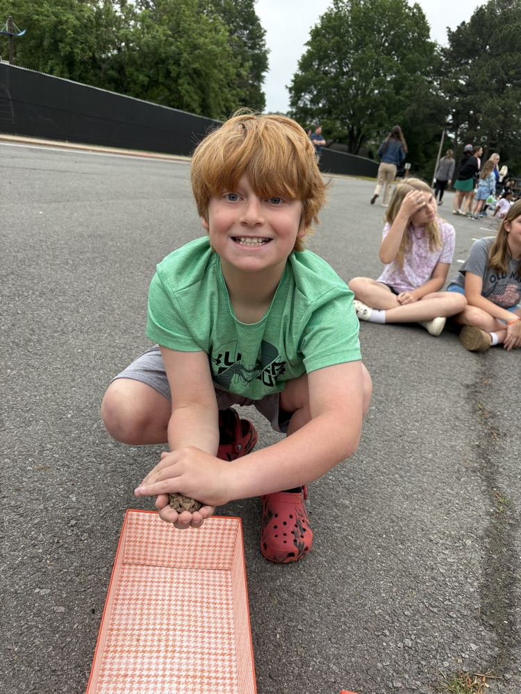 toad races