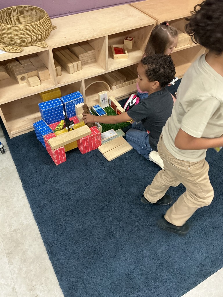 building a pet's home 