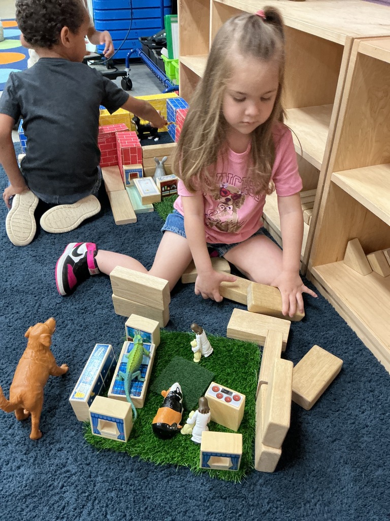 building a house for a guinea pig 