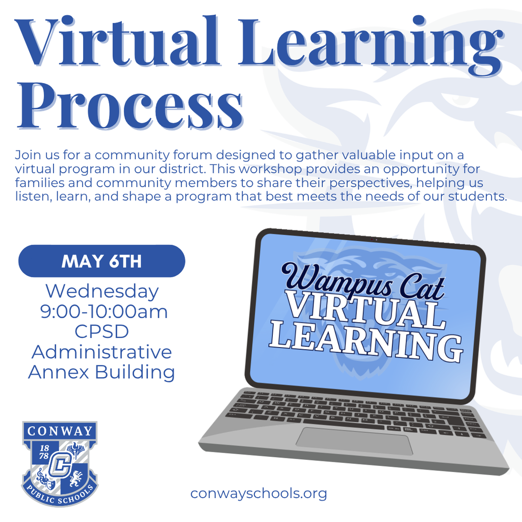 Virtual Learning Process graphic