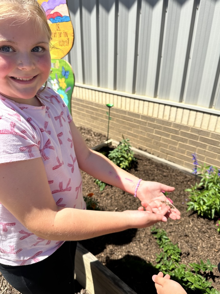 After observing their caterpillars go through all of the stages of metamorphosis, Mrs. Rogoff’s class was finally able to release lots of butterflies into the butterfly garden. We hope they stick around the Pollinator Playground!