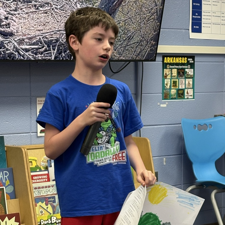 project presentation