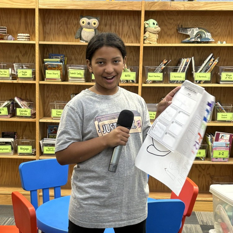 project presentation