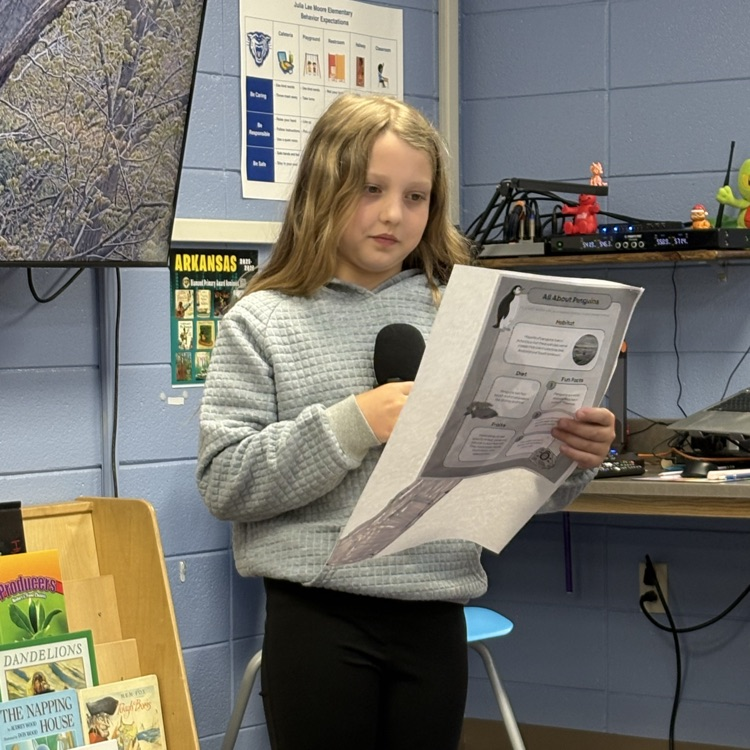 project presentation