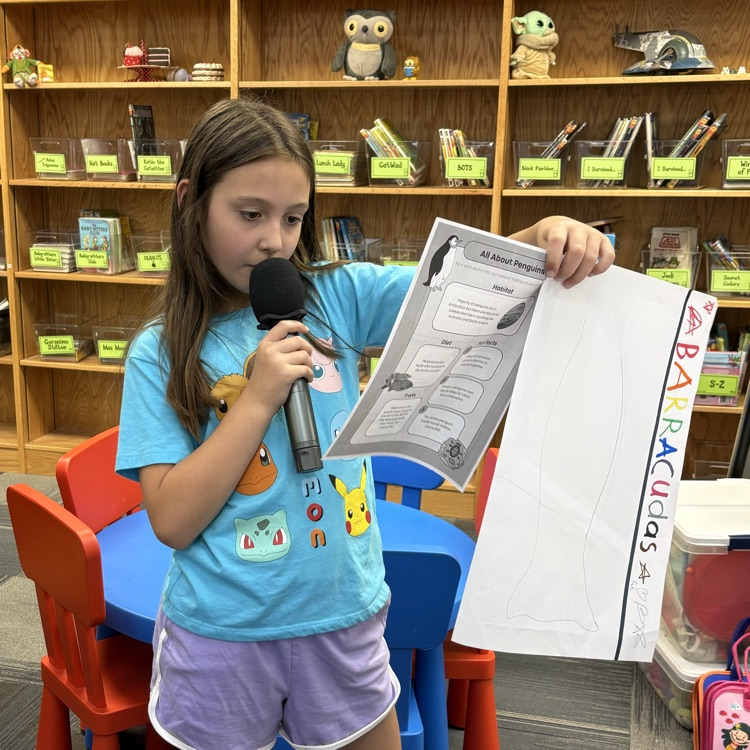 project presentation