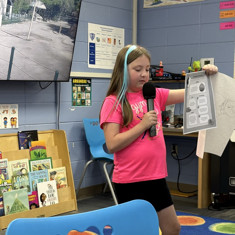 project presentation