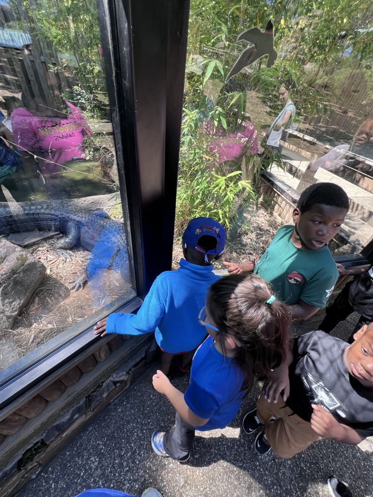 Ms. Lisa’s class had the best day at the Little Rock Zoo! It was perfect weather so we were able to see all of the animals we have been studying about in class!  🐯🦁🐍🦓🦍🐘