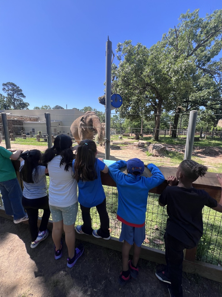 Ms. Lisa’s class had the best day at the Little Rock Zoo! It was perfect weather so we were able to see all of the animals we have been studying about in class!  🐯🦁🐍🦓🦍🐘