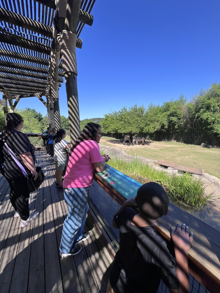 Ms. Lisa’s class had the best day at the Little Rock Zoo! It was perfect weather so we were able to see all of the animals we have been studying about in class!  🐯🦁🐍🦓🦍🐘