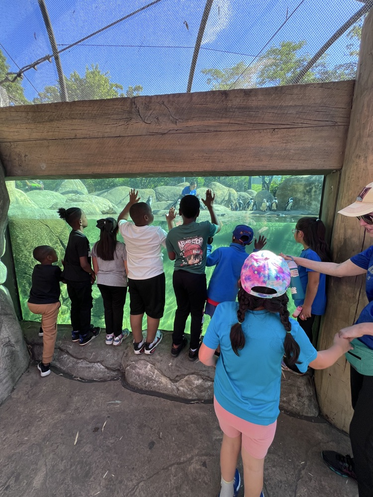 Ms. Lisa’s class had the best day at the Little Rock Zoo! It was perfect weather so we were able to see all of the animals we have been studying about in class!  🐯🦁🐍🦓🦍🐘