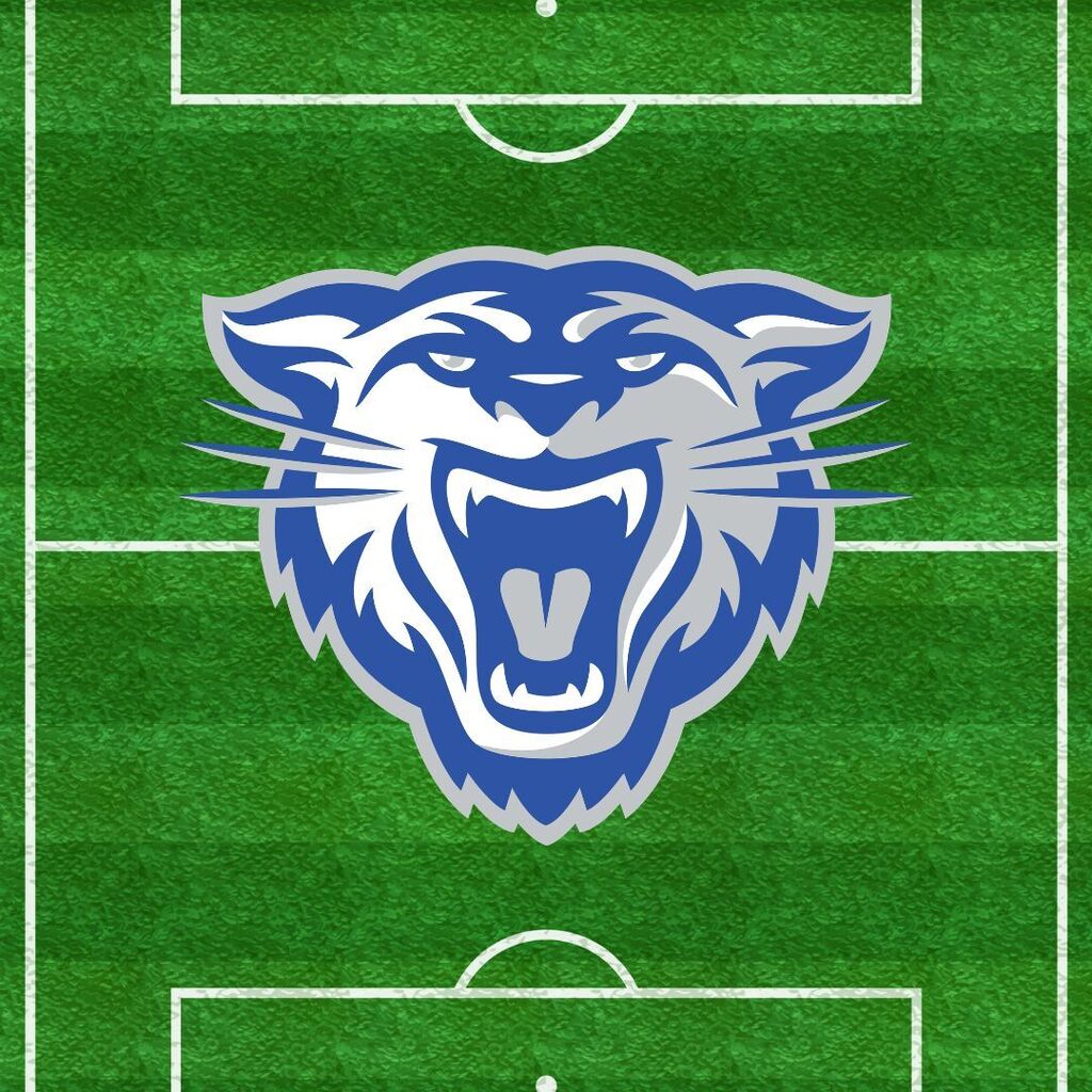 Soccer field with Wampus cat head in center