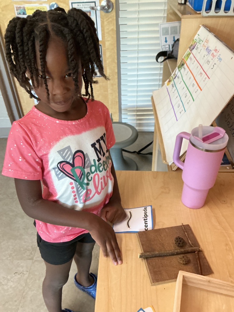 child using loose parts to design a bug